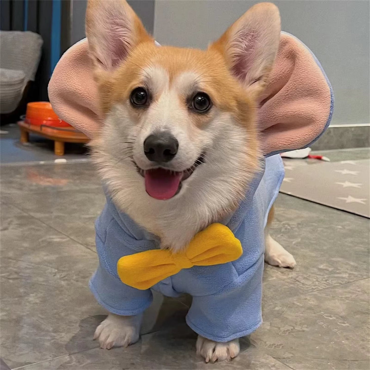 Costumes And Apparel
