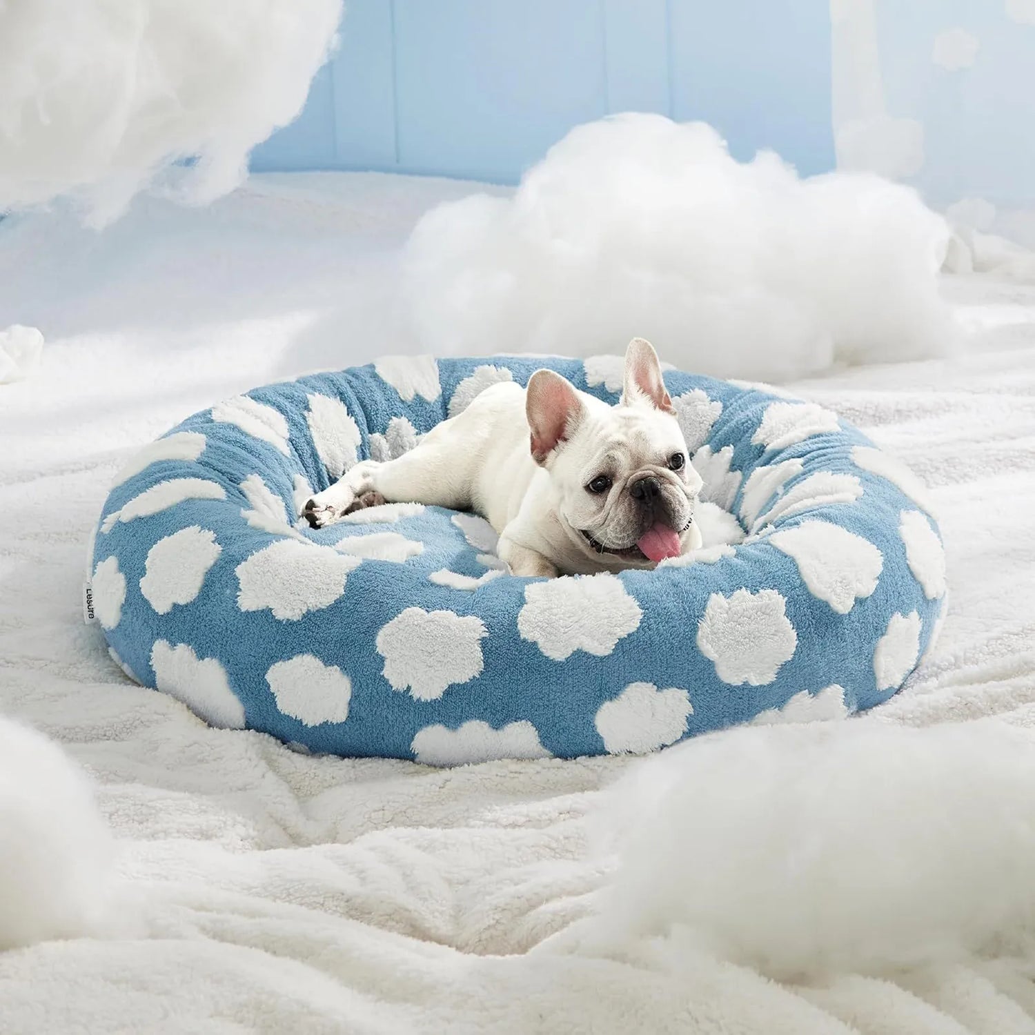 Dog Bed's