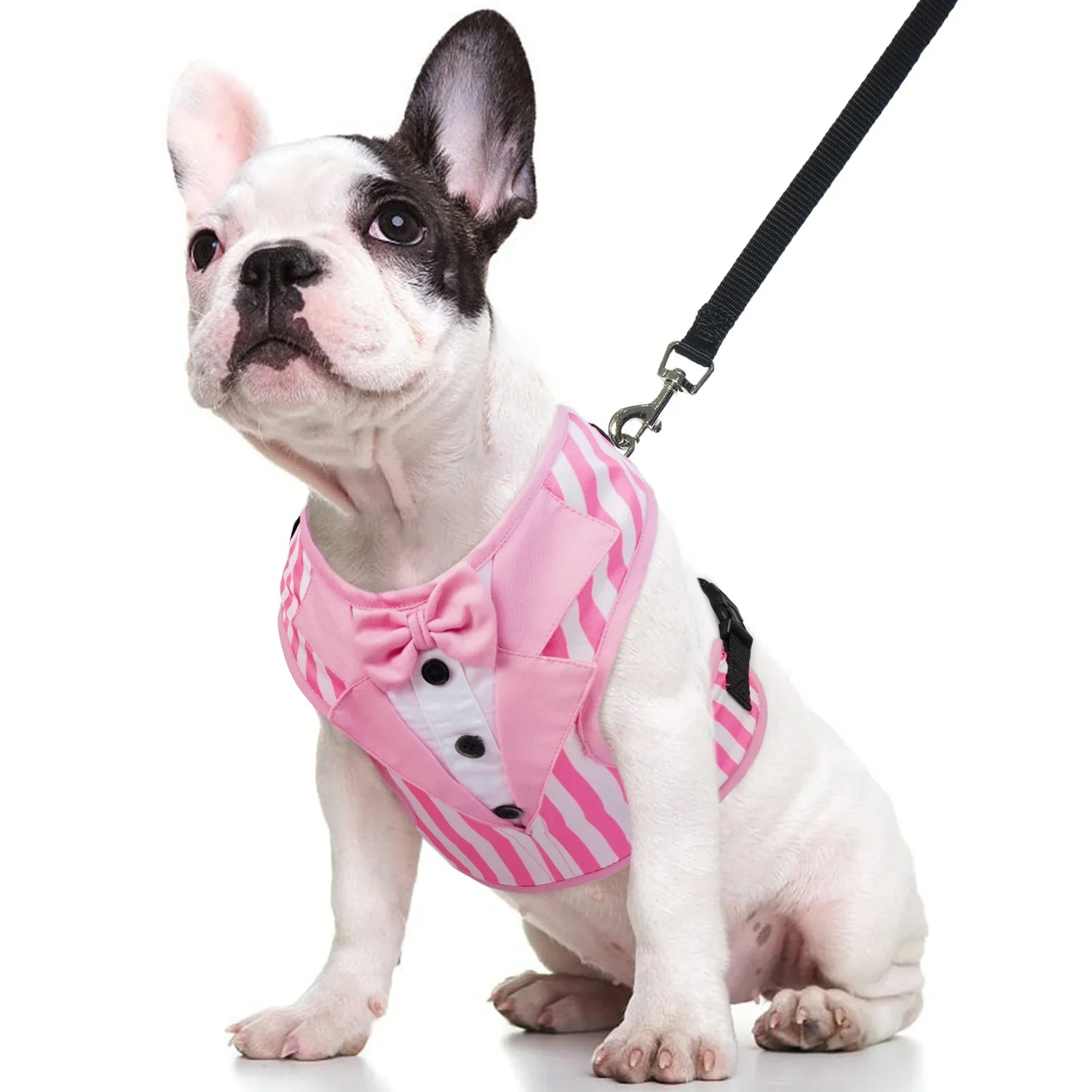 Pet Harness